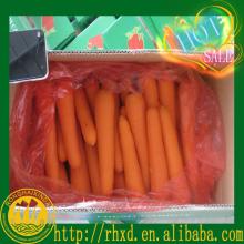 2014 chinese new  crop s  fresh   carrot 