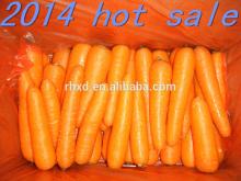 China fresh carrots 150-200g