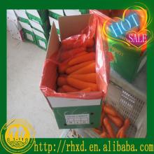 2014 new crop fresh carrots