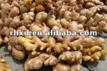 chines fresh young ginger 150g up