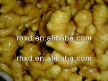 Wet-Fresh ginger to export