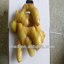 Best Quality Ginger