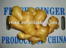 dry ginger
