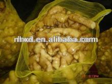 export best price fresh ginger