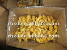 2012 New fresh ginger Cheapest!!