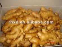 2013 price of fresh ginger
