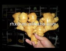 2013 bulk specification fresh ginger
