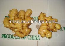 buy fresh young ginger(2013 crop lowest price)
