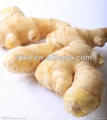 air dry ginger