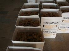 ginger and garlic