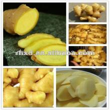 China market wholesale prices for ginger