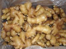  market   prices  for  ginger 