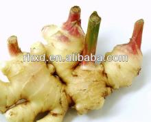 2013 new crop air dry ginger