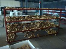  2013   new   crop   ginger  and garlic