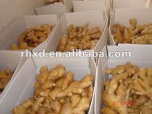 Chinese air dried ginger, market prices for fresh ginger on hot saling