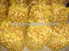 Chinese air dried ginger, market prices for fresh ginger