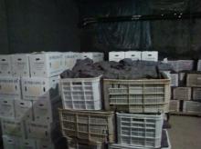  sell ing  ginger  with good quality and competive price