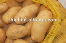 fresh potatoes in mesh bag