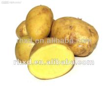  fresh   russet   potato 
