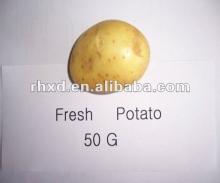 hot sale  small  fresh potato 50g