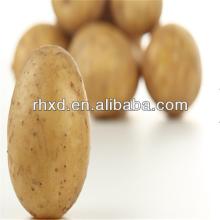 2013   crop   potato  Fresh Yellow Holland  Potato es