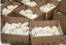 2013 new crop fresh potatoes /low price of potatoes for sale