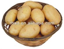  Shandong   new   crop  Fresh  Potato  in Various Pack