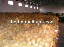 2013 new crop fresh potato price