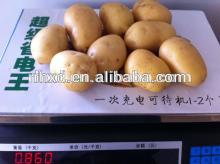 fresh potatoes holland fresh potatoes for sale potatoes supplier