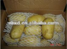 chinese big fresh  potato es exporter fresh  potato es for  chip s
