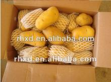 chinese new crop Holland fresh potato, cheap holland potato hot sale