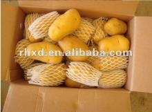 China new crop organic fresh Holland potato