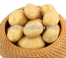 2014 new fresh potato factory manufacturer farm