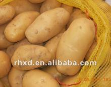 buy fresh potato/new season fresh potato