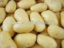 fresh potato price per ton/fresh potato factory for sale with good quality