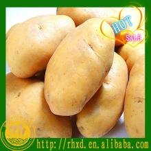 fresh potato importers in dubai,price of fresh potatoes