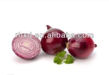 2013 new crop fresh onion prices in india red onion price fresh vegetable manufacturer factory farm