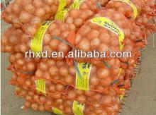 chinese onion(2013 lowest price)