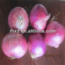 fresh red onion price