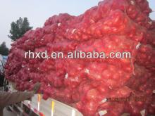 fresh onion prices in india