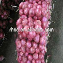 Chinese fresh red onion for sale