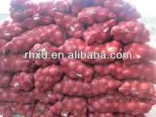 2013 new crop  bulk  fresh  onion 