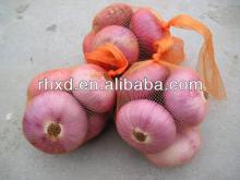 2013 new crop fresh onion export