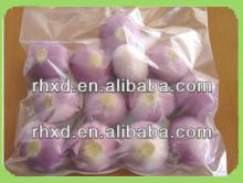  2013   Red   onion /yellow  onion 