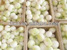 2013 exporters of onion from china