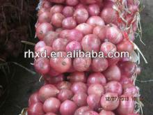 2013 new reason  fresh   red   onions  for  sale 