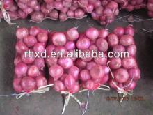 chinese fresh red onion new specification