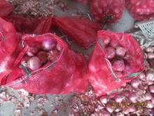 china red onion dubai market with 20kg red meshbag