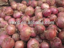 2013  new   fresh   onion /lowest price  fresh  red  onion 
