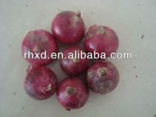 2014 new crop fresh red yellow onion